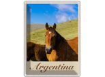 Vianmo Insegna Di Latta 40X30 Cm Argentinien Wiese Pferde