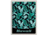 Vianmo Insegna Di Latta 40X30 Cm Hawai Insel Strand BläTter Blau
