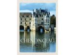 Vianmo Insegna In Legno 40X30 Cm Retro Chenonceau France Schloss