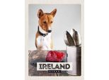 Vianmo Insegna In Legno 40X30 Cm Irland Europa Steak Hund Insel