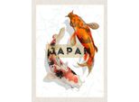 Vianmo Insegna In Legno 40X30 Cm Japan Koi Fische Asienkunst