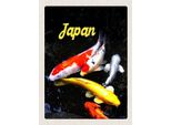 Vianmo Insegna In Legno 40X30 Cm Japan Asien Koi Fische Rot Gold Weiß