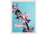 Vianmo Insegna In Legno 40X30 Cm Japan Asien Blumen Baum Knospe