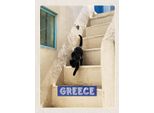 Vianmo Insegna In Legno 40X30 Cm Greece Griechenland WeißE Treppe Katze
