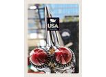 Vianmo Insegna In Legno 40X30 Cm Amerika Oldtimer 90Er Silber Pkw