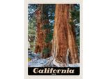 Vianmo Insegna In Legno 40X30 Cm California Amerika Natur Wald BäUme