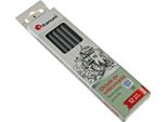 Matite Per Schizzi Grigie 12 Pezzi 3B Titanum