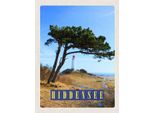 Vianmo Insegna In Legno 40X30 Cm Hiddensee Leuchtturm Baum Weide Wiese