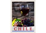 Vianmo Insegna In Legno 40X30 Cm Chile Wein Trauben Tradion
