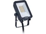 Philips Lighting Faretto Led BVP167 Led #73601699