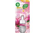 Air Wick - Ricarica Di Oli Essenziali - Nebbia Oceanica E Fiore Di Loto - 1 Pezzo
