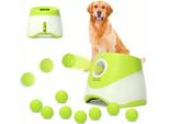 Lanciatore Automatico Interattivo Di Palline Per Cani Da Recuperare