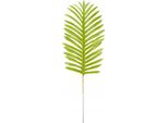 Ramo Di Palma Decorativo, 51 Cm, Confezione Da 1.
