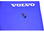 Nuova Vite Torx Originale Volvo 4X14Mm, Da Rivenditore Autorizzato, Oe 986046