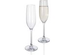 Moritz 2 Pezzi Tiamo Bicchieri Da Campeggio Bicchieri Da Champagne Infrangibili Antigraffio Champagne FlûTe 590 Ml Bicchieri Da Champagne