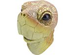 Bristol Novelty - Copricapo In Costume Per Uomo/Donna Unisex BN1956 (Taglia Unica) (Multicolore)