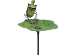 Moritz Bagno Per Uccelli Giardino Rana Re 28 X 24 X 123 Cm Decorazione Giardino Spina Giardino Figura Animale Decorazione
