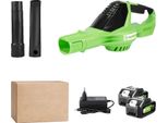 Soffiatore Elettrico, Senza Fili, Motore Brushless, 2 Batterie Spina Ue