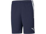Puma Teamliga Pantaloncini Da Allenamento Uomo Blu Scuro Bianco Xxxl