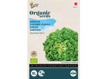 Buzzy Organic Winter Divia Scarola Verde - Semi Biologici - Circa 1 Gr | Buzzy_92015