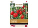 Buzzy Pomodori Pomodoro Ravello F1 Semi - Circa 8 Semi | Buzzy_028425