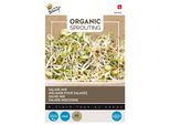 Buzzy Mix Di Lattuga Germogliata Biologica - Semi Biologici - Circa 30 Gr | Buzzy_084066