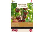 Semi Di Pomodoro Buzzy Pomodori Black Cherry - Circa 10 Semi | Buzzy_028350