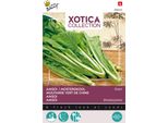 Buzzy Xotica Amsoi Semi Verdi - Circa 3 Gr | Buzzy_080405