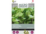 Buzzy Microgreens Semi Di Anfora Sanguigna - Circa 0,5 Gr | Buzzy_080314