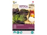 Buzzy Xotica Amsoi Semi Di Senape Indiana Rossa - Circa 3 Gr | Buzzy_080403