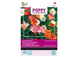Buzzy Poppy Flowers Eschscholtzia Californica Semi - Circa 1 Gr | Buzzy_080865