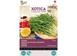 Buzzy Xotica Mizuna Semi - Circa 10 Gr | Buzzy_080434