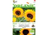 Buzzy Girasole Biologico Zohar F1 - Semi Biologici - Circa 1 Gr | Buzzy_94350