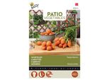 Buzzy Patio Veggies Carote Paris Market 4 Semi - Circa 1 Gr | Buzzy_083016