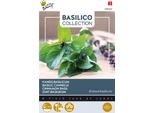 Buzzy Semi Di Basilico Cannella - Circa 1,5 Gr | Buzzy_080909