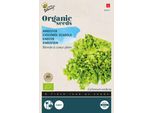 Buzzyindivia Scarola Gialla - Semi Biologici - Circa 1 Gr | Buzzy_92017