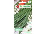Semi Di Erba Cipollina 1G - W.Legutko