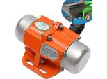 Motore A Vibrazione, 30 W, Velocità Nominale 3000 Giri/Min, Tensione Nominale 220 V, Peso Approssimativo 1600 G, Blocco Eccentricità Regolabile