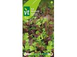 Lattuga Babyleaf Mix Di Semi Biologici - Circa 1 Gr | VT_228