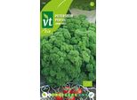 Semi Di Prezzemolo Verde Perlato Biologico - Circa 2 Gr | VT_208