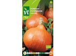 Zucca Uchiki Kuri Semi Biologici - Circa 2 Gr | VT_210