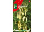 Semi Di Fagioli Monte Gusto - 25 Gr Circa | VT_309