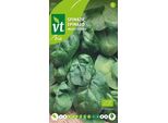 Spinacio Palco F1-Ibrido Semi Biologici - Circa 10 Gr | VT_217