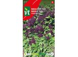 Semi Di Basilico Tailandese - Circa 0,4 Gr | VT_2932