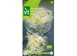 Grani Per La Germinazione Semi Di Erba Medica - Circa 16 Gr | VT_250