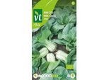 Semi Biologici Di Pak Choi Taisai - Circa 1 Gr | VT_232