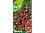 Semi Di Pomodoro Biologici Sweetbaby - Circa 0,2 Gr | VT_219