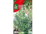Semi Di Rosmarino - Circa 0,2 Gr | VT_2967