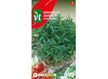 Semi Di Borragine - Circa 1 Gr | VT_2936