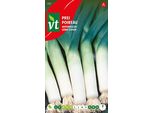 Semi Invernali Di Porro - Circa 5 Gr | VT_592